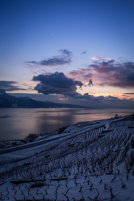 Fin de journée dans le Lavaux - 039